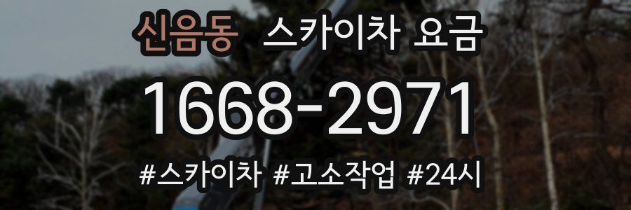 신음동 스카이차 요금