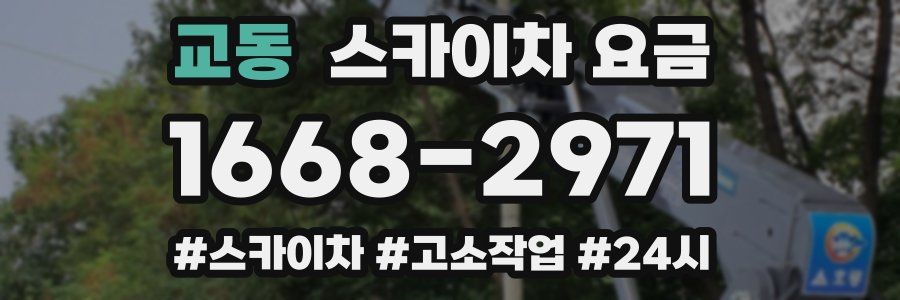교동 스카이차 요금