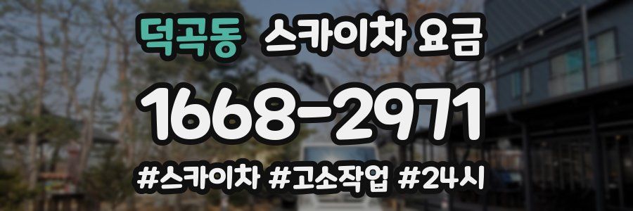 덕곡동 스카이차 요금