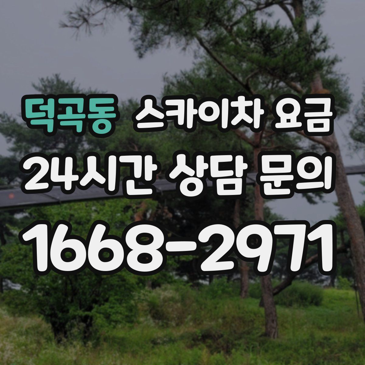 덕곡동 스카이차 요금