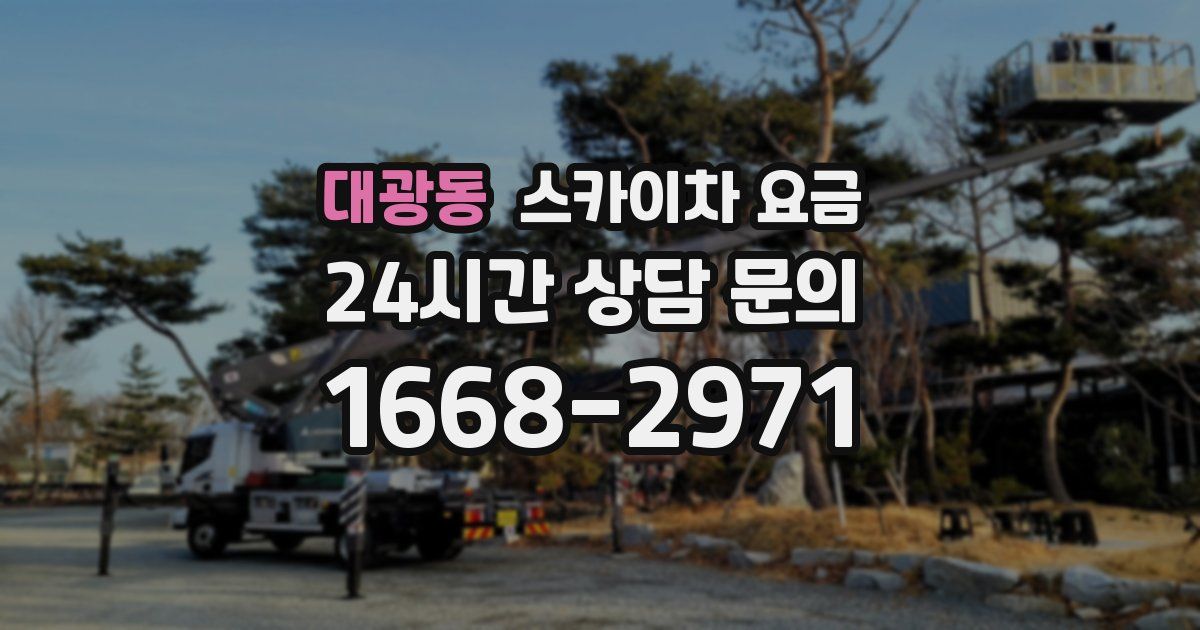 대광동 스카이차 요금