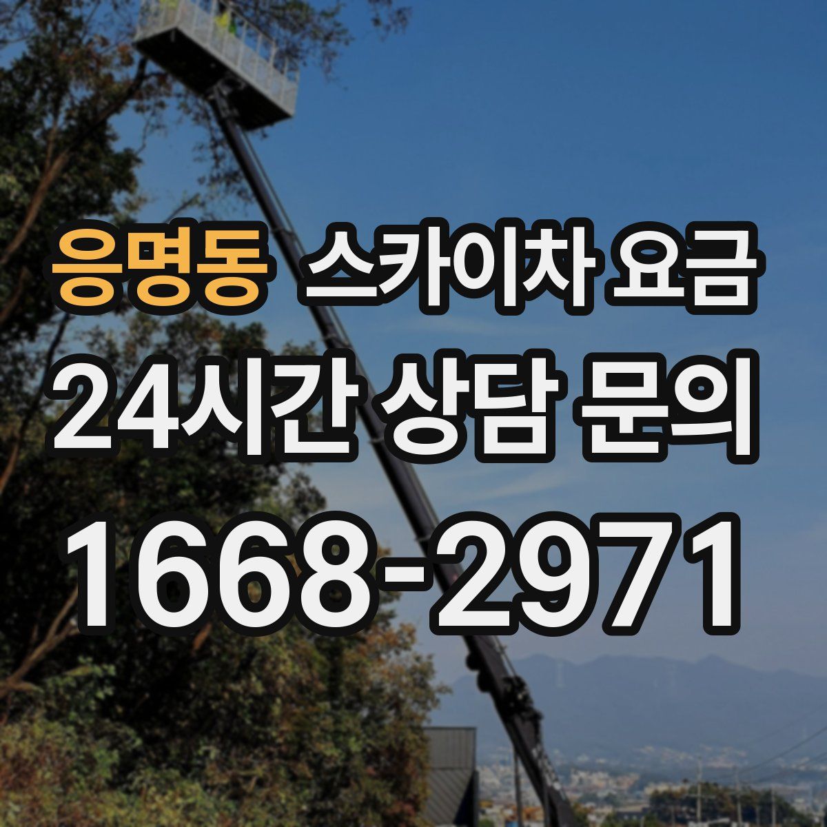 응명동 스카이차 요금