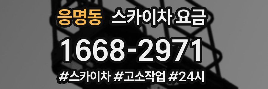 응명동 스카이차 요금