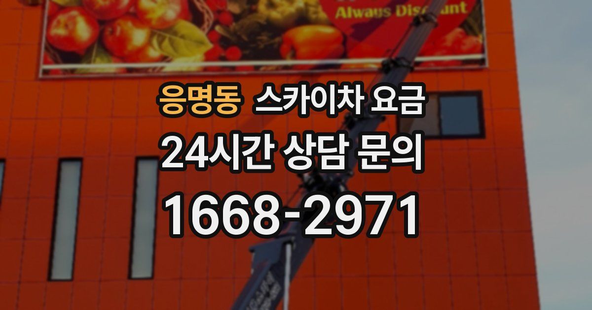 응명동 스카이차 요금