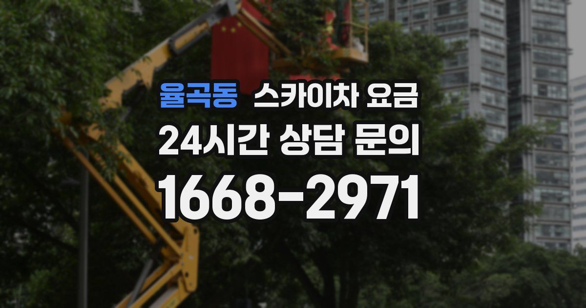 율곡동 스카이차 요금