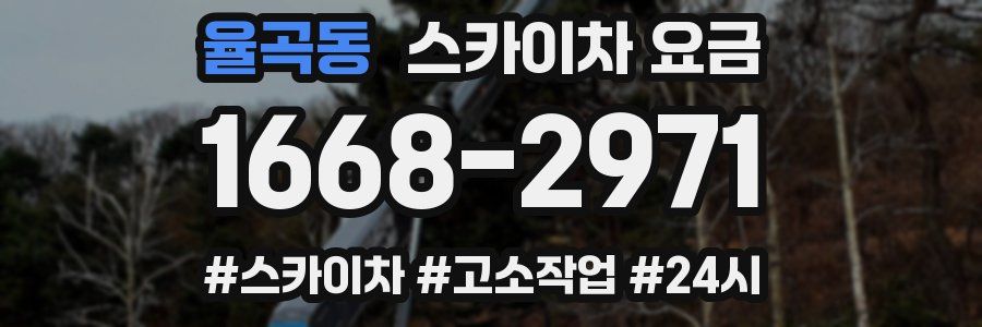 율곡동 스카이차 요금