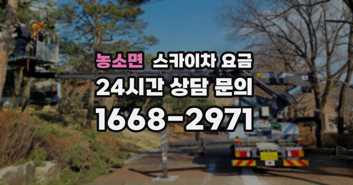 농소면 스카이차 요금