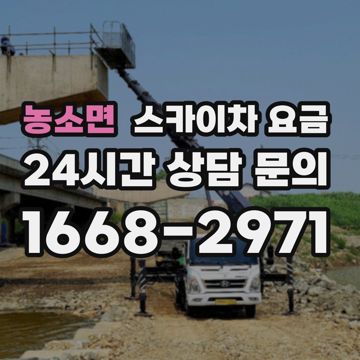 농소면 스카이차 요금