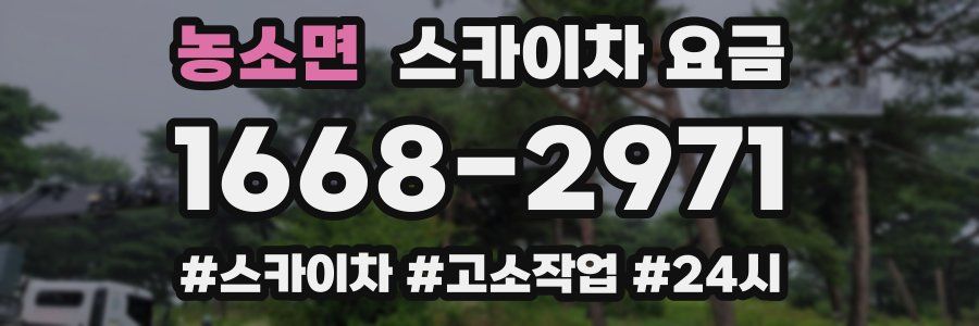 농소면 스카이차 요금