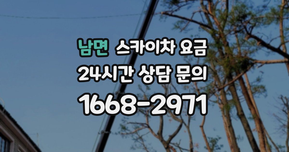 남면 스카이차 요금