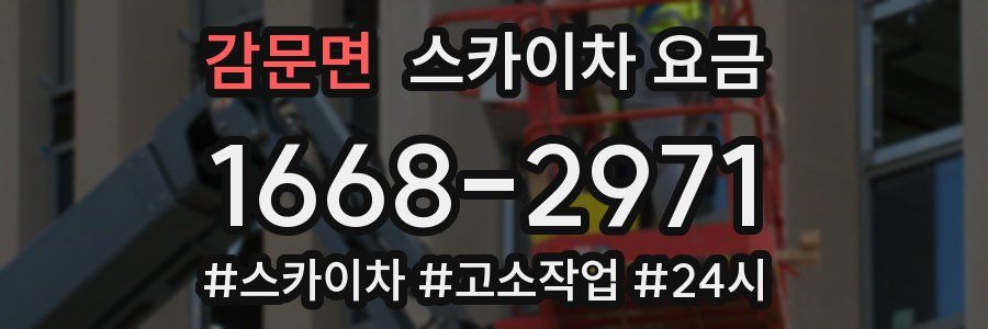 감문면 스카이차 요금