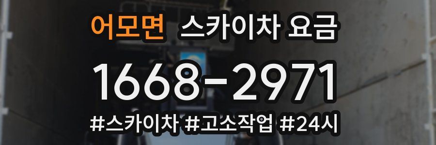 어모면 스카이차 요금