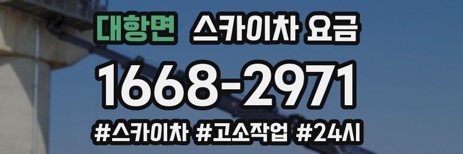 대항면 스카이차 요금