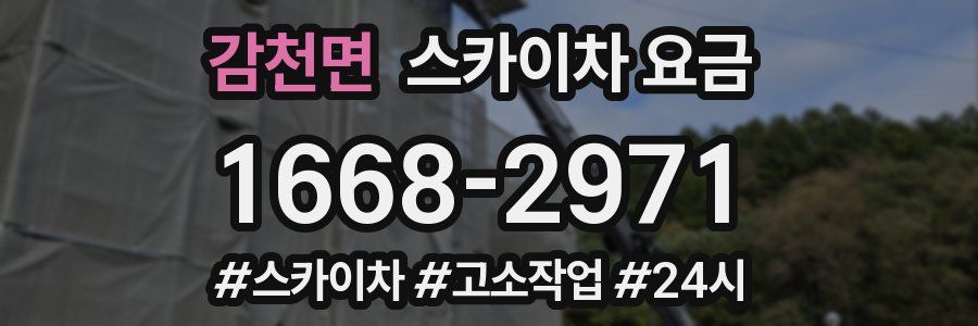 감천면 스카이차 요금