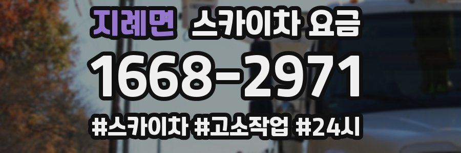 지례면 스카이차 요금
