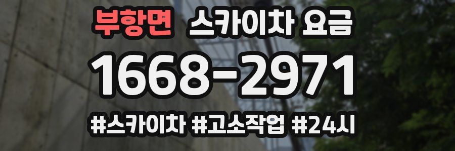 부항면 스카이차 요금