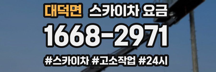대덕면 스카이차 요금