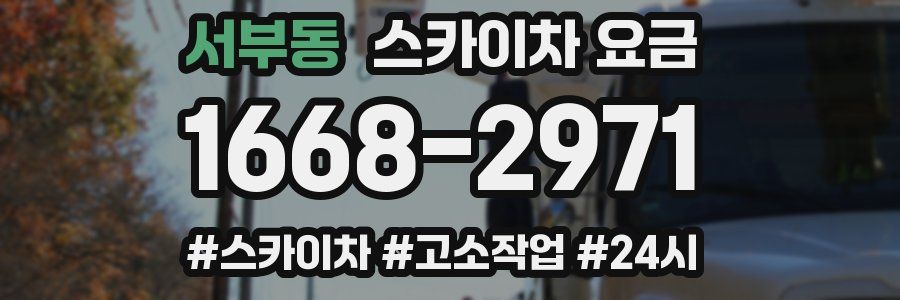 서부동 스카이차 요금