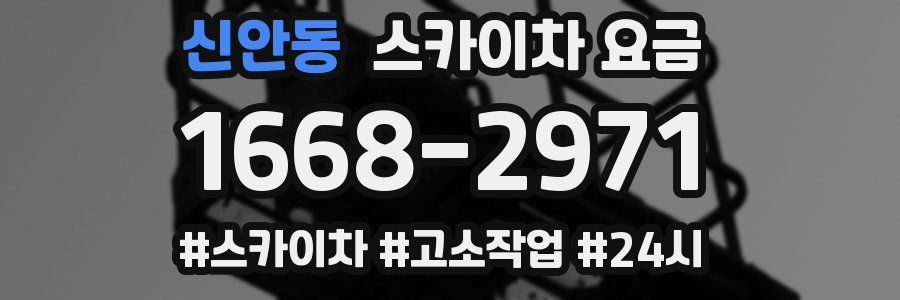 신안동 스카이차 요금