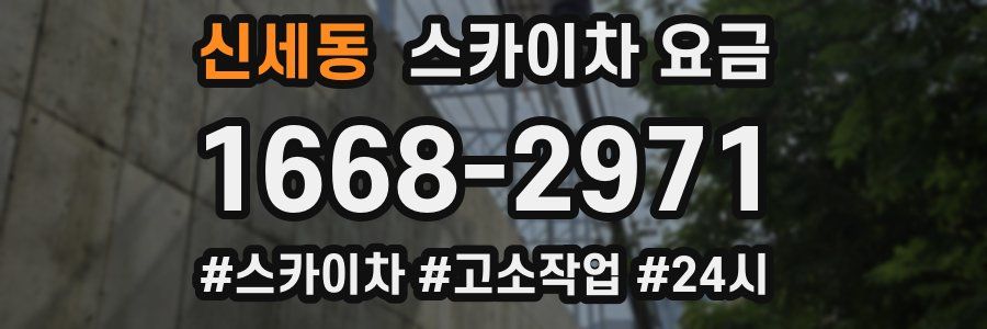 신세동 스카이차 요금