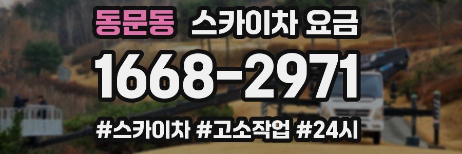 동문동 스카이차 요금