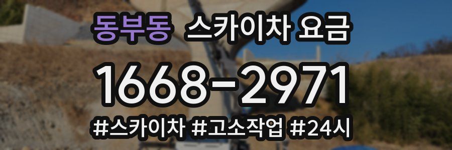 동부동 스카이차 요금