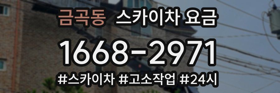 금곡동 스카이차 요금