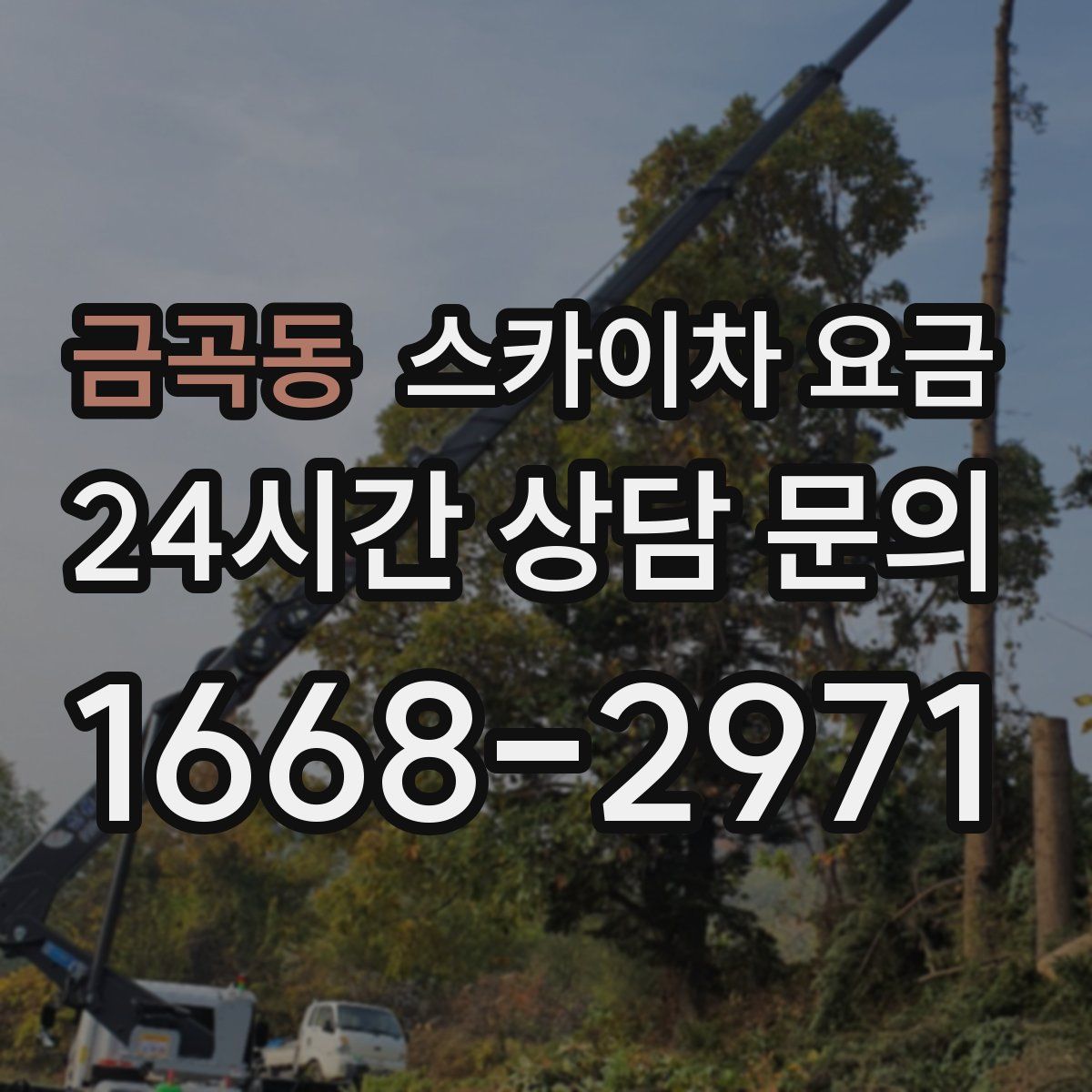 금곡동 스카이차 요금