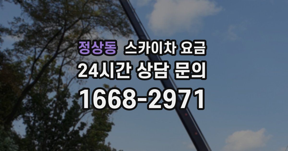 정상동 스카이차 요금