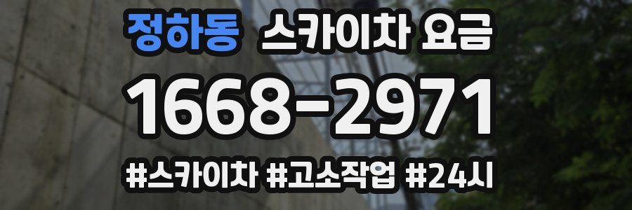 정하동 스카이차 요금