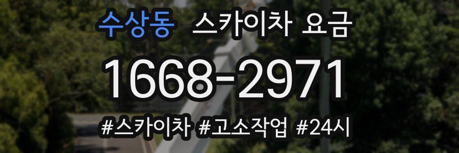수상동 스카이차 요금