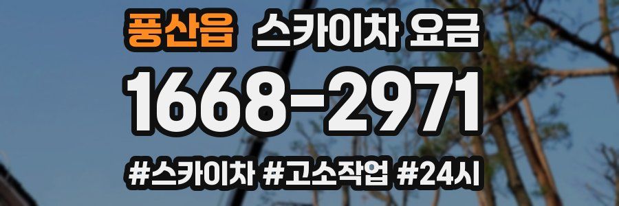 풍산읍 스카이차 요금