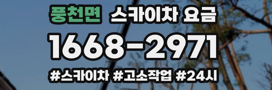 풍천면 스카이차 요금