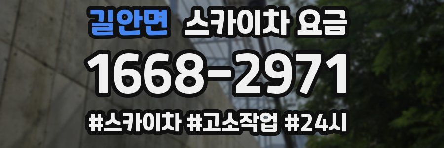 길안면 스카이차 요금