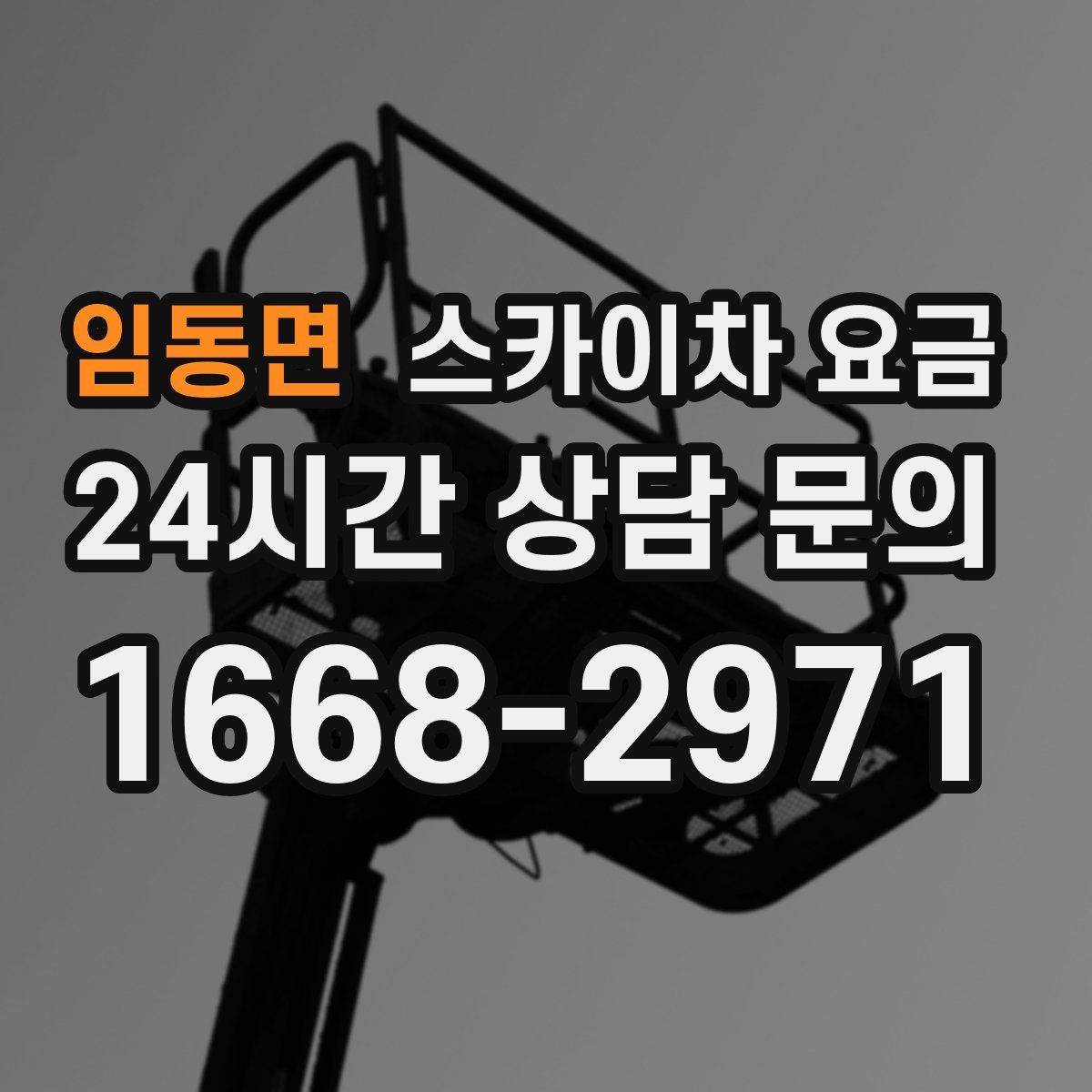 임동면 스카이차 요금