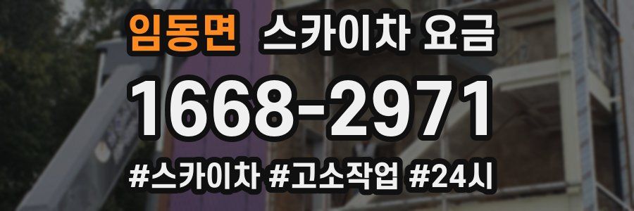 임동면 스카이차 요금