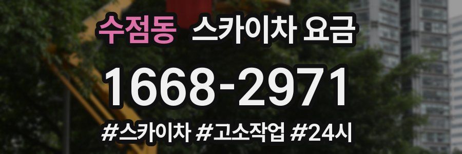 수점동 스카이차 요금