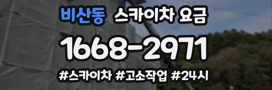 비산동 스카이차 요금