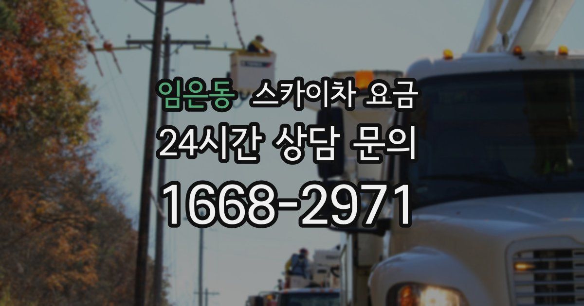 임은동 스카이차 요금