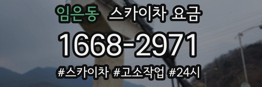 임은동 스카이차 요금