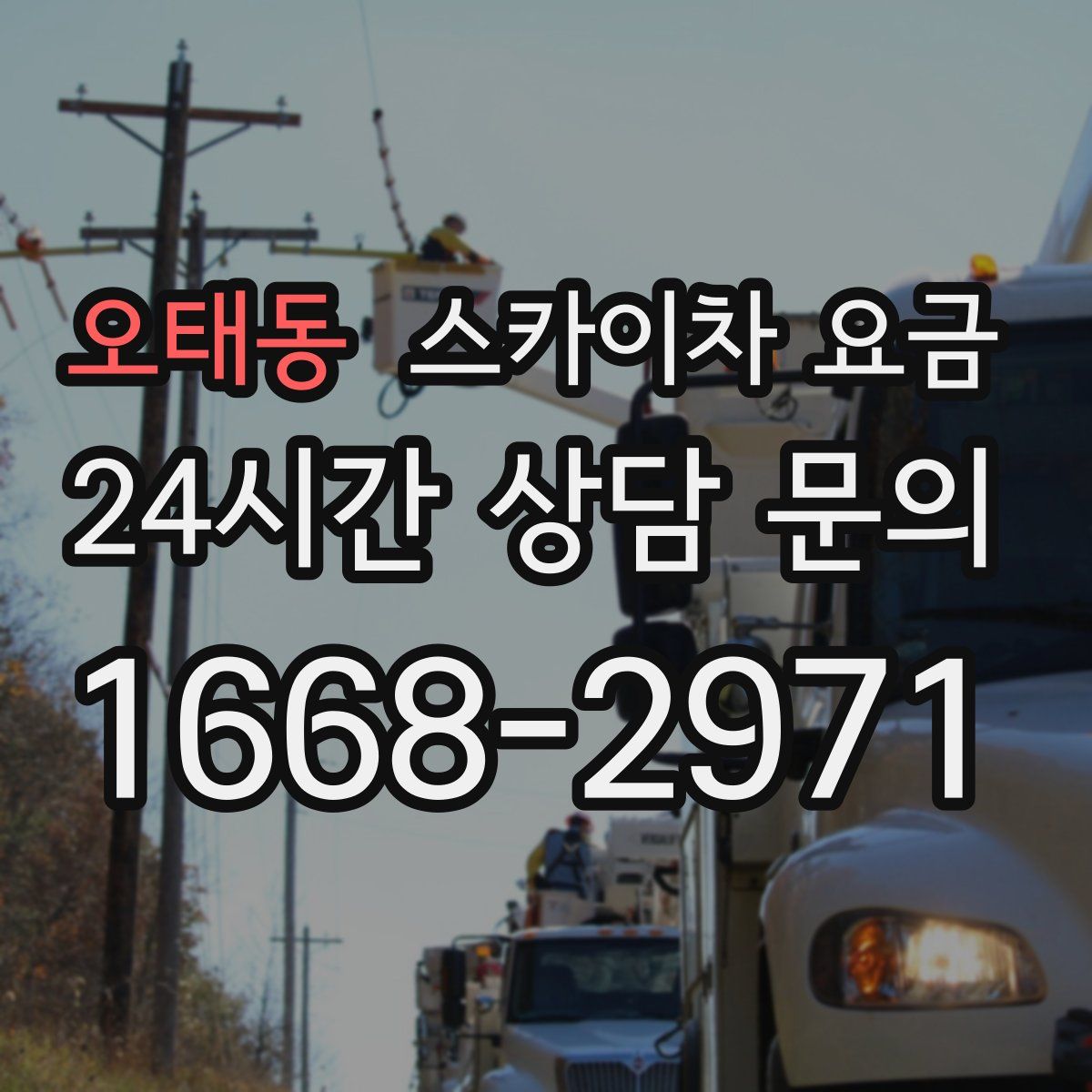 오태동 스카이차 요금