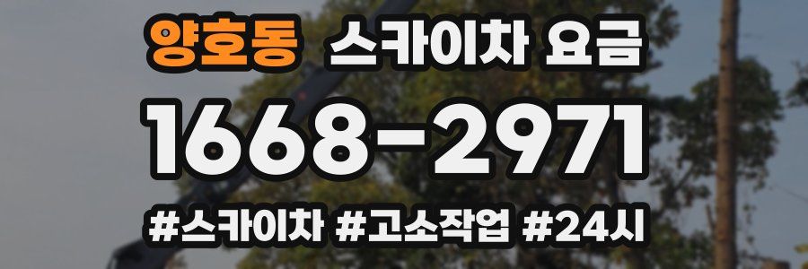 양호동 스카이차 요금