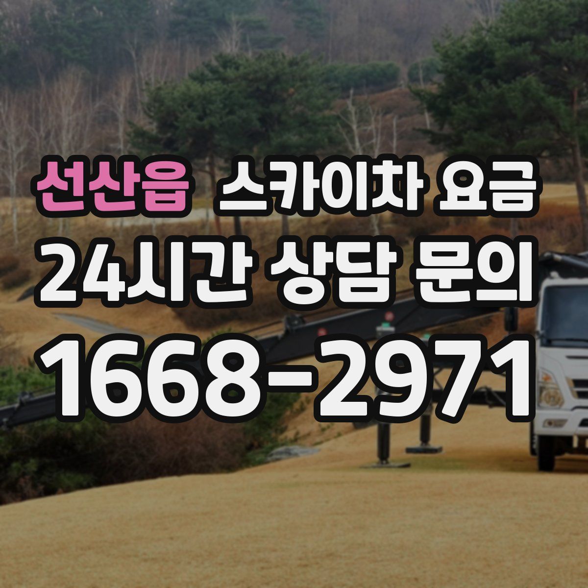 선산읍 스카이차 요금