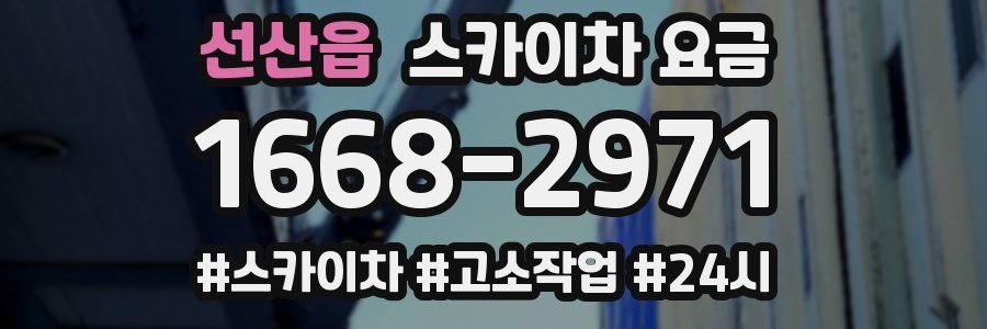 선산읍 스카이차 요금