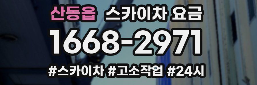 산동읍 스카이차 요금
