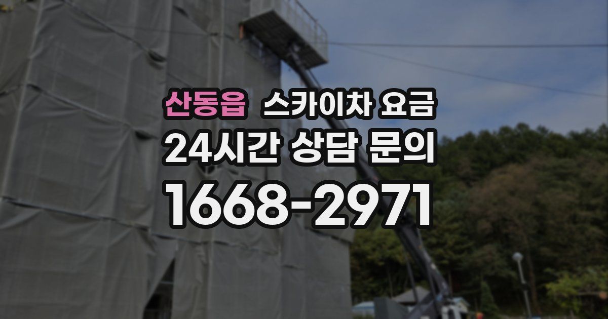 산동읍 스카이차 요금