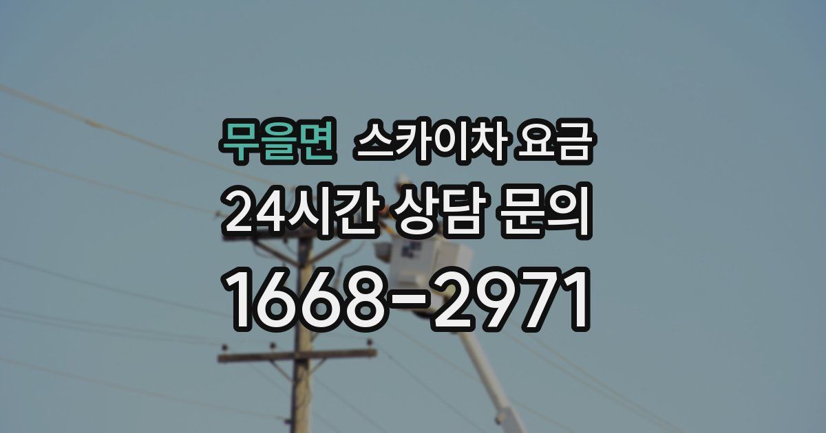 무을면 스카이차 요금