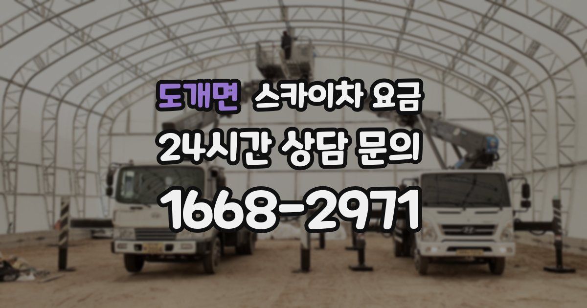 도개면 스카이차 요금