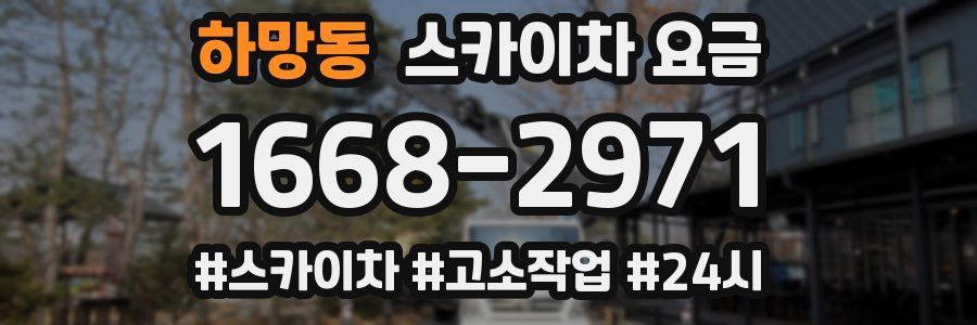 하망동 스카이차 요금