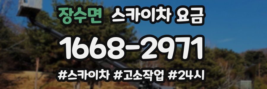 장수면 스카이차 요금